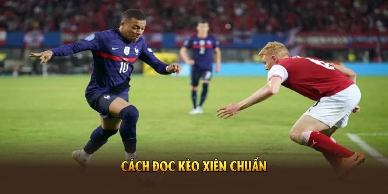 Cách đọc kèo xiên chuẩn từ 88VV hỗ trợ người chơi hiệu quả